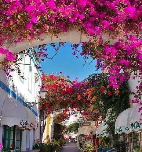 Διαμέρισμα Alma ,6 Paxs ,wifi , Playa Canteras, Ocio